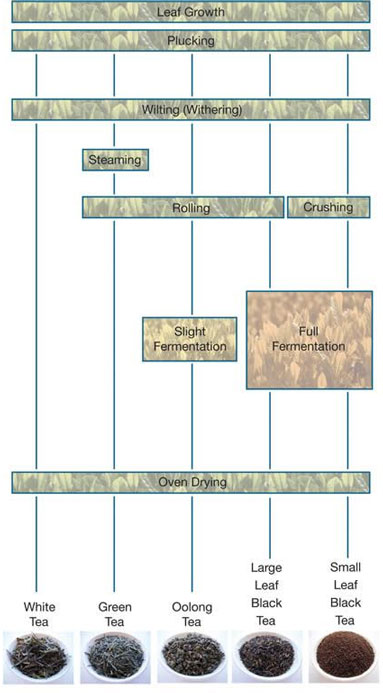 Ielts writing task 1 sample process   scribd