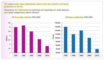 Production Chart