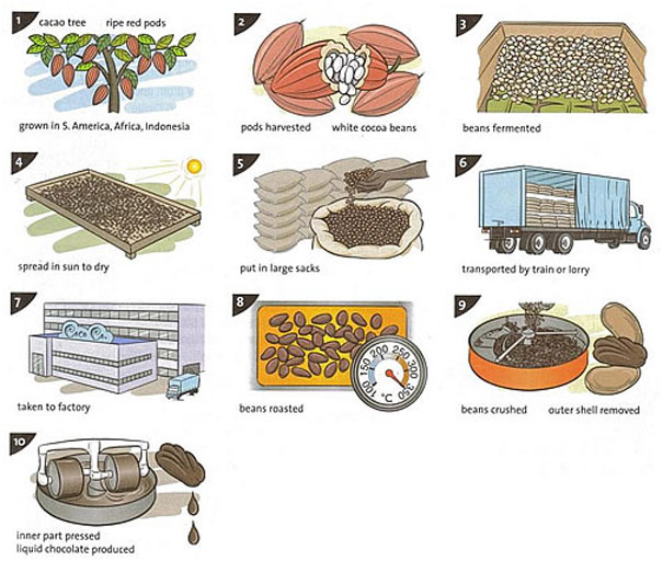 IELTS Task 1 Process - Chocolate Production