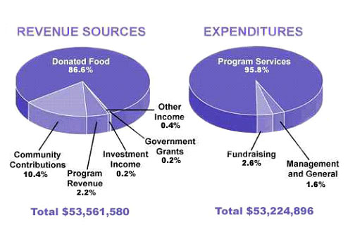 Task 1 Sample - Revenue sources and expenditure of a charity