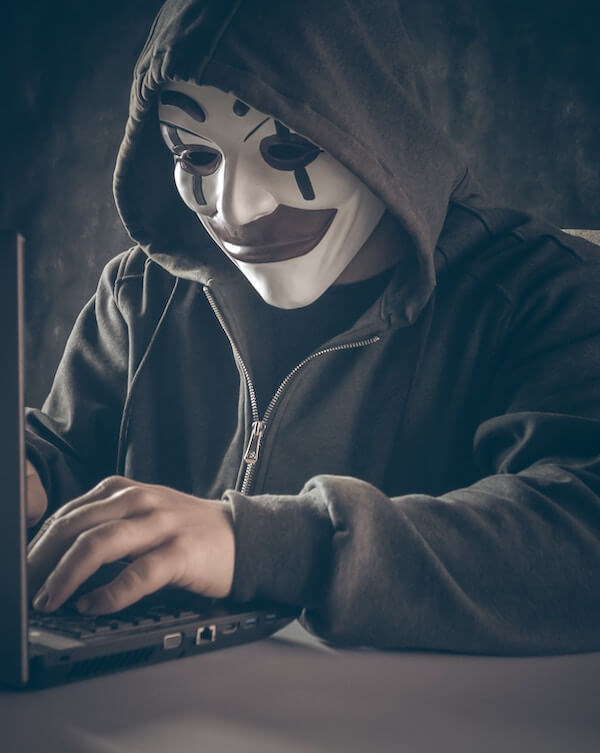 Online Fraud Essay