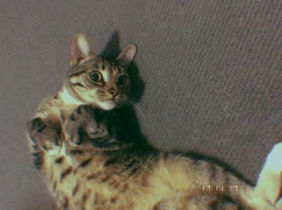 SKIPPED SPEAKING TEST