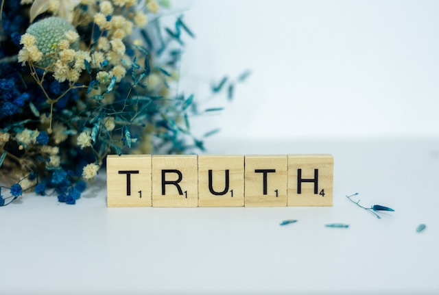 Truth Essay Truth Essay